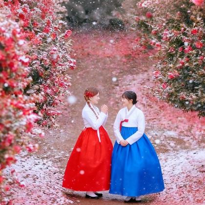 韩国济州岛3日2晚私家团