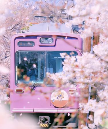 6D5N • In–depth Kansai tour of Japan·6–day exploration across Osaka, Kyoto, Nara and Uji