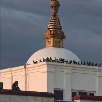 加德满都+纳加阔特+奇旺+蓝毗尼6日5晚私家团