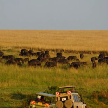 肯尼亚+乌干达+南非11日10晚私家团