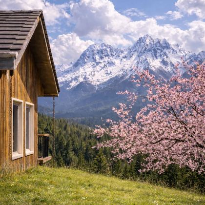 林芝+波密+然乌湖+来古冰川+雅鲁藏布大峡谷5日4晚私家团