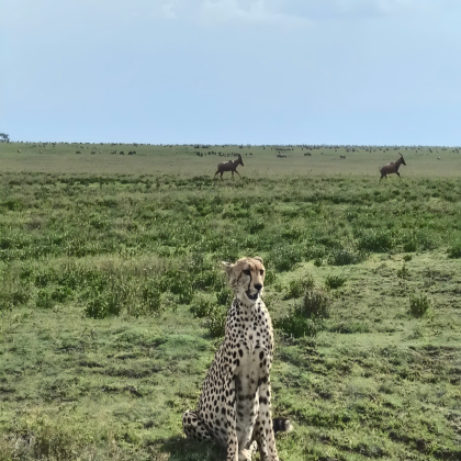 坦桑尼亚8日7晚拼小团