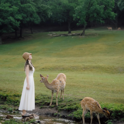 哈尔滨+伊春+五大连池风景区+齐齐哈尔6日5晚私家团