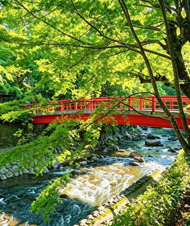 6日5晚 • 日本九州之夏 賞花溫泉之旅 九州自然動物公園非洲Safari體驗、「日本三大名城」熊本城、由布院溫泉街、稻佐山展望台-乘玻璃列車