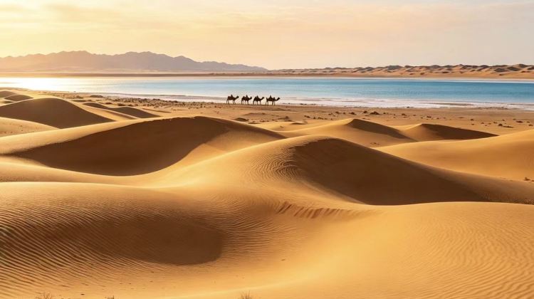 4-Day Upgrade to small group upon inquiry . Yinchuan + Zhongwei+gold medal guides, camel riding & sandboarding, dune buggy & karting, and desert bonfire.