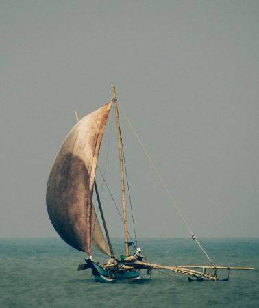 7D6N • 7-Day Private Guided Tour of Sri Lanka ending in Arugambay