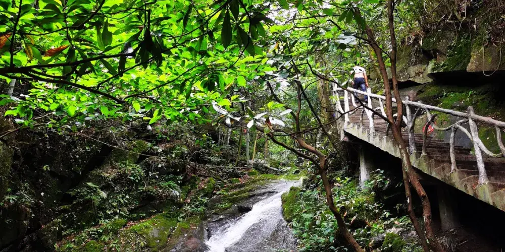 永安旅遊