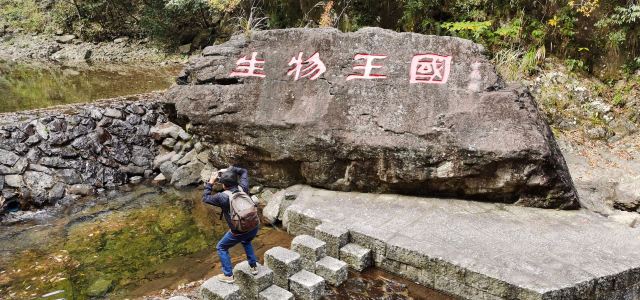 浙江乌岩岭国家级自然保护区旅行图片 1