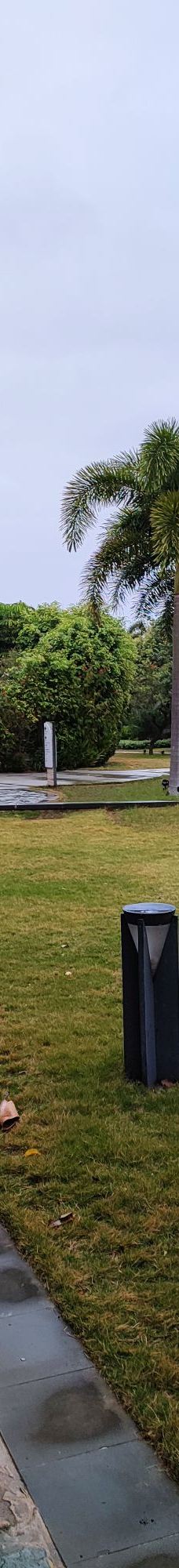 茂名森林公园-茂名