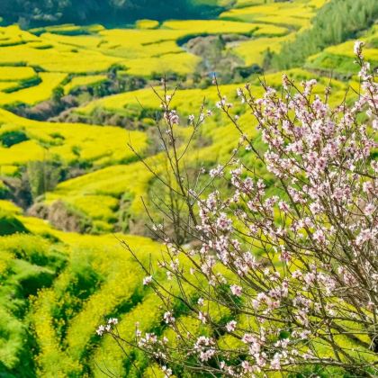 江西南昌+井冈山+庐山风景名胜区+景德镇+婺源风景区+三清山风景区+婺源篁岭景区8日7晚跟团游