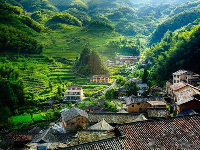 丽水古堰画乡景区+云和梯田景区+松阳老街+陈家铺村+杨家堂村3日2晚