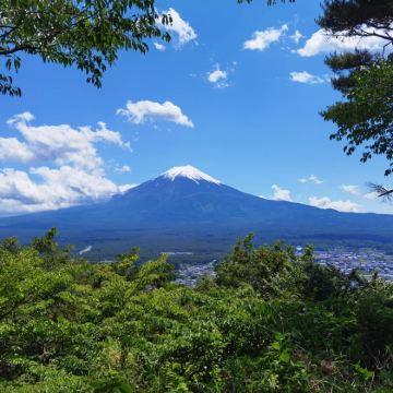 日本东京+富士山+东京迪士尼乐园6日5晚私家团