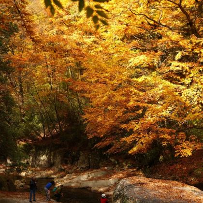 成都+光雾山旅游景区+十八月潭景区+米仓山国家森林公园5日4晚私家团