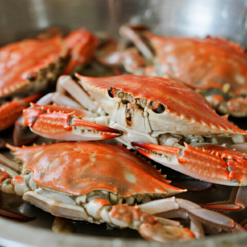 舟山+朱家尖观音法界+普陀山风景区3日2晚私家团