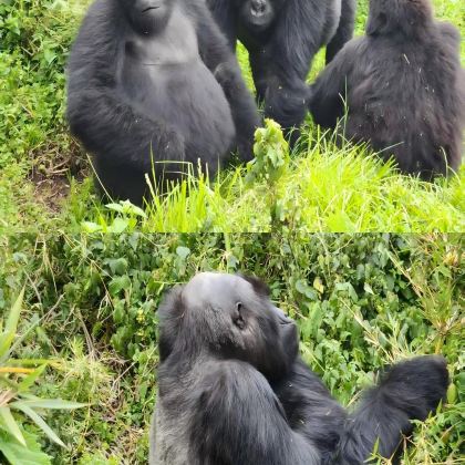 卢旺达6日5晚私家团
