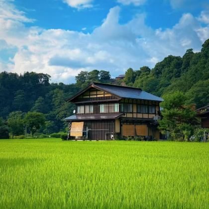 日本6日5晚拼小团