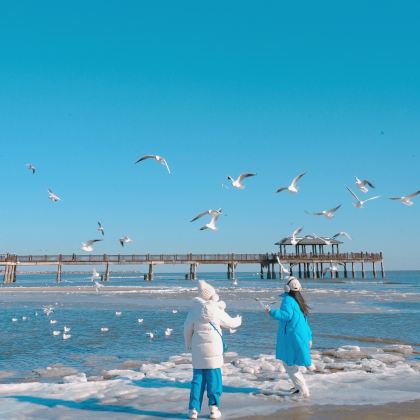 秦皇岛+北戴河+山海关3日2晚跟团游