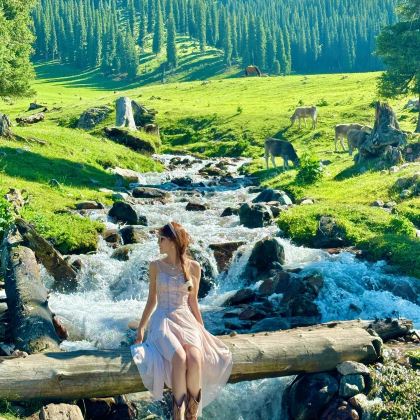 新疆北疆+乌鲁木齐+喀纳斯景区10日9晚私家团