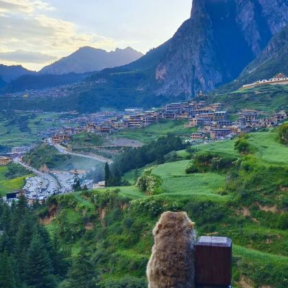 甘南+扎尕那+拉卜楞寺+桑科草原3日2晚拼小团