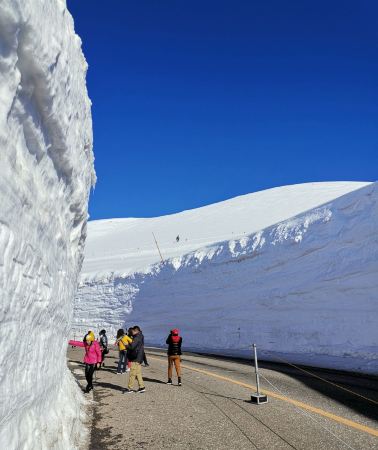 3D2N • Japan Tateyama Kurobe Alpine Route (Japanese Alps) · Kamikochi · Oishi Park (Lake Kawaguchi, Mount Fuji) · Takayama Sanmachi Old Street | Round Trip from Tokyo.