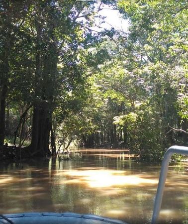 4D3N • 4 Days Amazon Jungle Adventure Tour