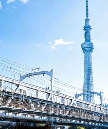 12日11晚 • 日本雙樂園經典・東京迪士尼 + 大阪環球影城門票全包 + 富士山遊船 + 京都清水寺 + 奈良鹿園 + 名古屋城，配華語司機專車