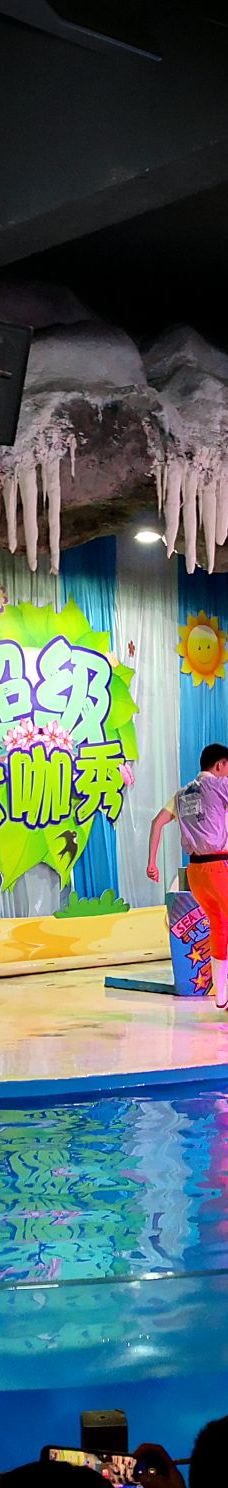 郑州海洋馆-郑州