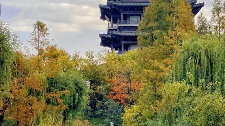 7D6N · Group Tours · Jinan + Tai'an + Qvfu + Qingdao + Weihai + Yantai. Explore Shandong's unique landscapes and rich historical heritage.