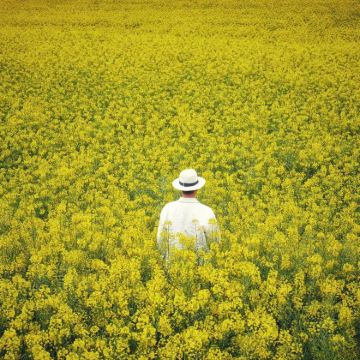 昆明+东川红土地+罗平+坝美世外桃源景区+普者黑景区+蒙自+元阳+建水+弥勒9日8晚私家团