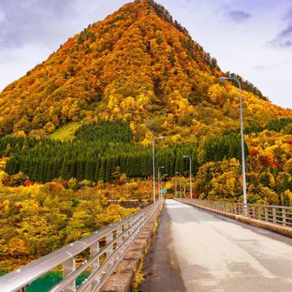 日本大阪+京都+名古屋5日4晚私家团