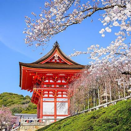 日本东京+大阪+京都+奈良市6日5晚跟团游