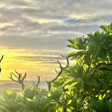 日本冲绳+濑长岛8日7晚私家团