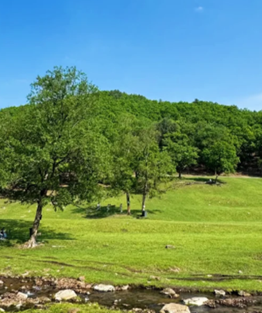 4D3N • Explore Yichun - Wuying National Forest Park - Tangwang - Jinshan Luyuan
