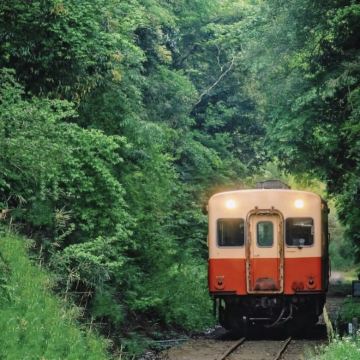 日本东京+千叶+茨城6日5晚拼小团