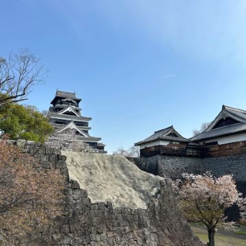 日本东京+大阪+京都+福冈8日7晚跟团游