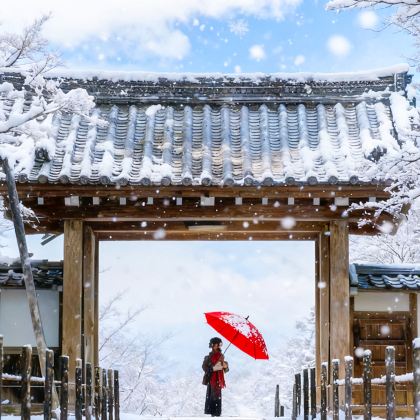 日本大阪+京都7日6晚私家团