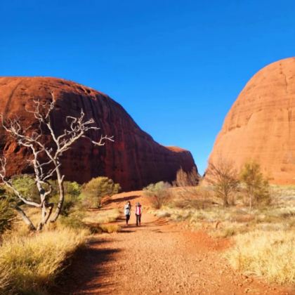 澳大利亚8日7晚私家团