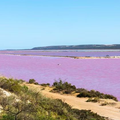 西澳大利亚9日7晚私家团