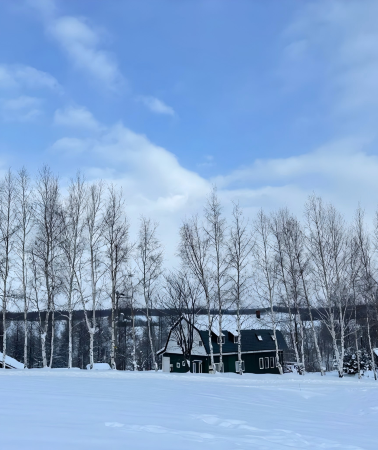 2D1N • Japan Hokkaido Sapporo + Lake Tōya + Otaru + Jigokudani