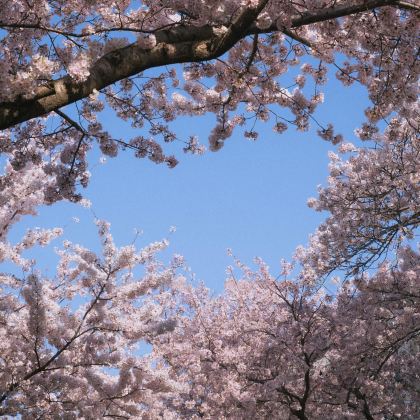 韩国首尔6日5晚自由行