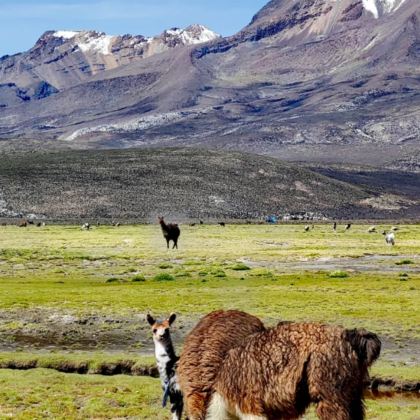 利马省+库斯科大区+圣谷7日6晚私家团