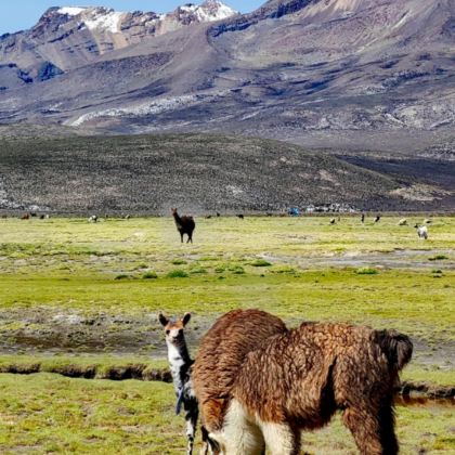 利马省+库斯科大区+圣谷7日6晚私家团