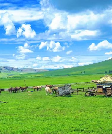 5D4N • Inner Mongolia + Hulunbuir + Hailar + Ergun + Enhe + Heishantou + Manzhouli with Scenic Drives, Ethnic Culture, Border Views