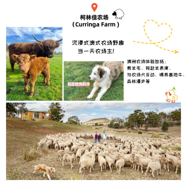 霍巴特