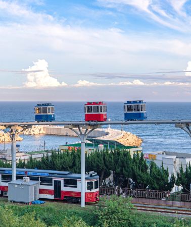 4D3N • South Korea + Busan: Use a Busan airport transfer, and enjoy a one-day private car tour to Haedong Yonggungsa Temple, Dalmaji-gil Road, the Sky Capsule, and Haeundae Beach