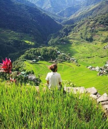 4D3N • Sagada and Banaue Rice Terraces 4-Day Tour
