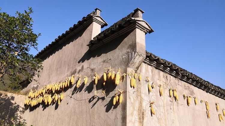 3D2N · Private Tours · Private Hiking Tour along Xihong Ancient Trail in Huangshan City & Mt. Qiyun