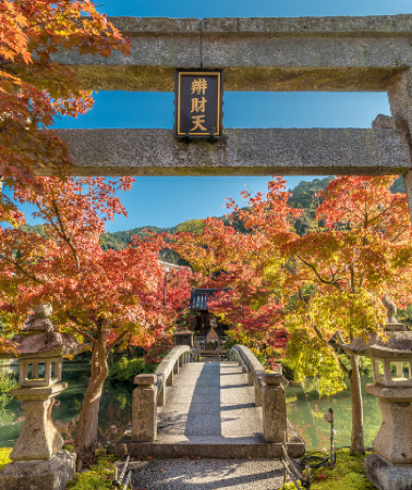 6 วัน 4 คืน • KYOTO OSAKA TAKAYAMA LOVE AUTUMN โดยสายการบินไทย [TG]