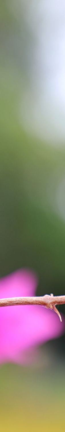 秦皇岛野生动物园-秦皇岛