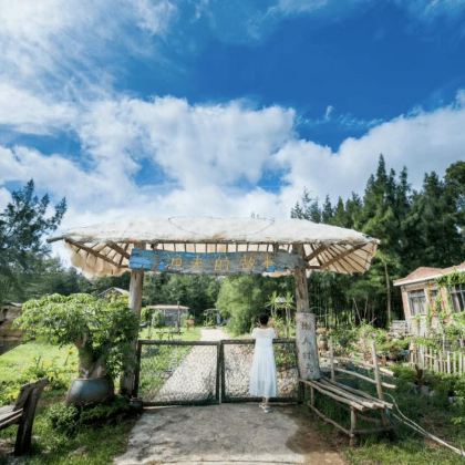 广东湛江+中国大陆南极村+菠萝的海+硇洲岛5日4晚拼小团